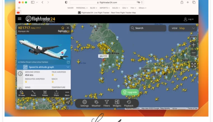 [팁] 실시간 항공기 비행 정보 확인하기 / flightradar24
