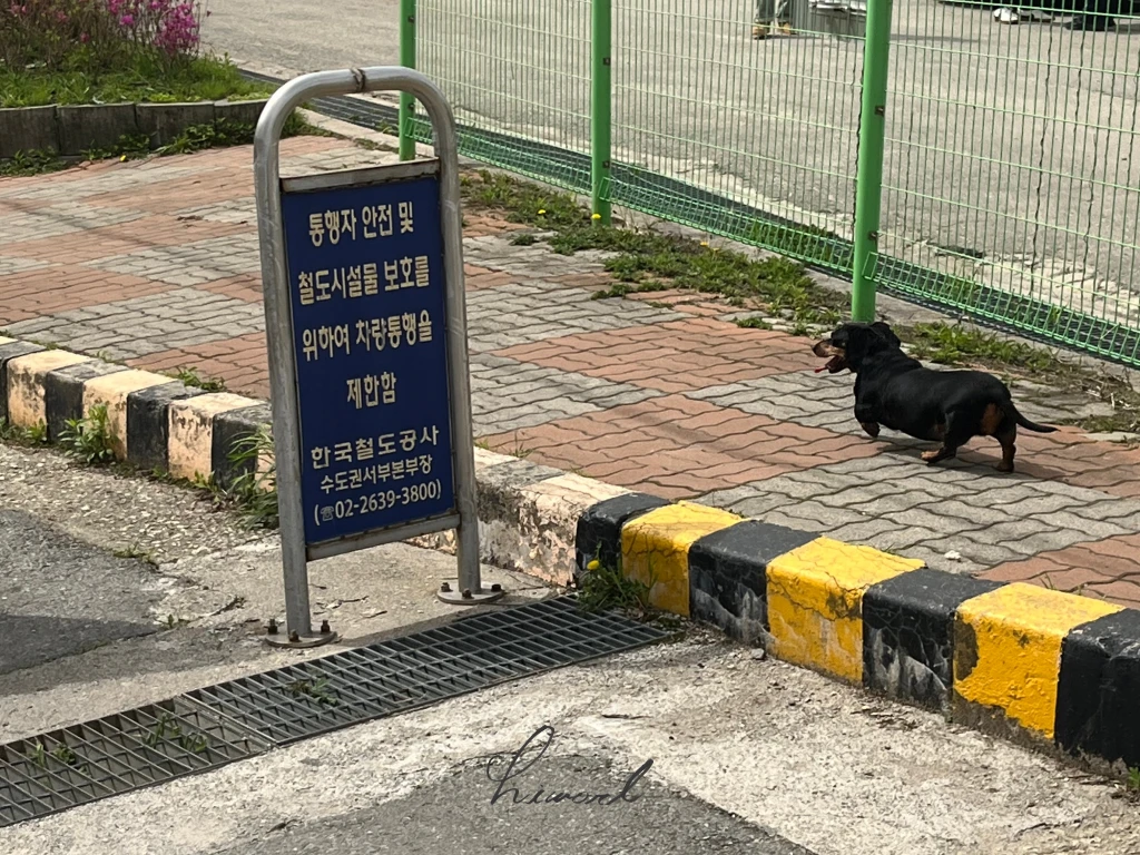 과기대 철도아카데미 수료 사진.